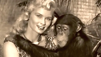 Vintage Taboo, Pussy & Pooch