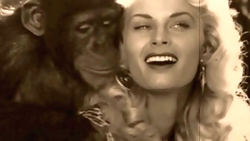 Vintage Taboo, Pussy & Pooch