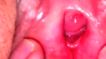 Days of  Love and Sex. 07/28/2024