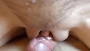 GORDO COÑO BOMBEA POLLA DURA