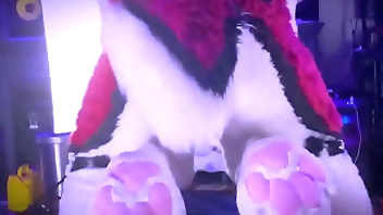 Jessefrost follada por cenny en estilo perrito