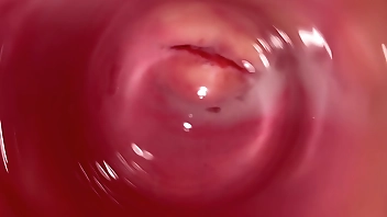 Internal camera inside tight creamy Vagina, Dick's POV